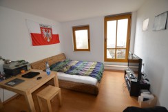 Helles 1-Zimmer-Apartment mit Balkon Nähe Hauptbahnhof Helles 1-Zimmer-Apartment mit Balkon Nähe Hauptbahnhof